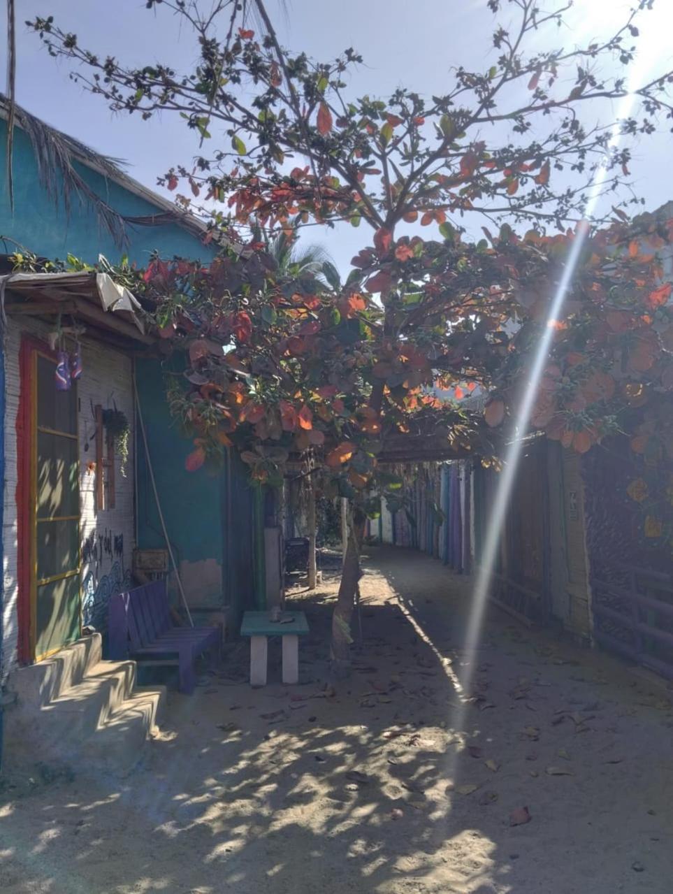 Zaigon Kite Surf Bed & Breakfast Mancora Luaran gambar